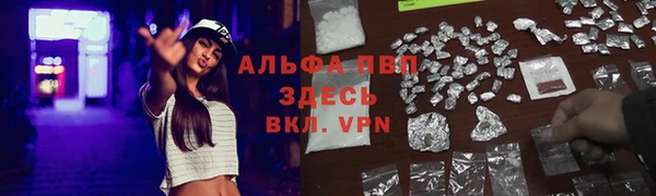 индика Кинешма