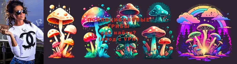 Галлюциногенные грибы MAGIC MUSHROOMS  магазин    kraken вход  Кологрив 