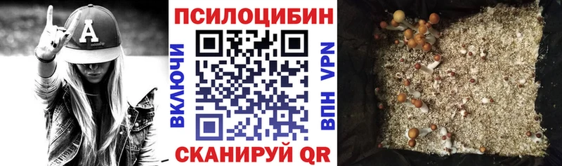 Галлюциногенные грибы мухоморы  Кологрив 